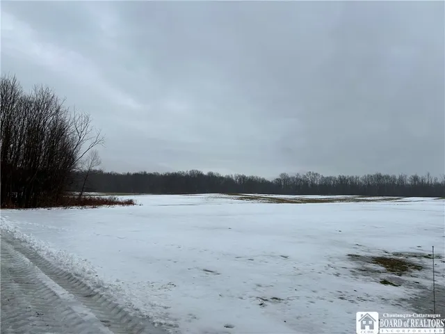 $199,900 | Alleghany Road East, South Dayton, NY 14138