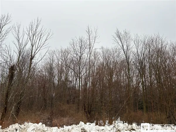 $199,900 | Alleghany Road East, South Dayton, NY 14138