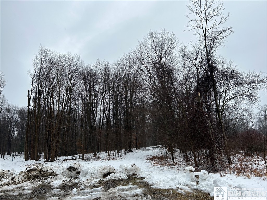 Alleghany Road East South Dayton, NY 14138 - Photo 7 of 10