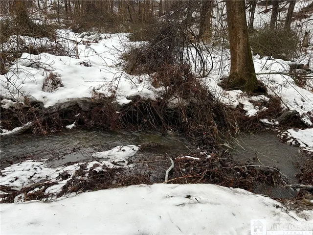 $199,900 | Alleghany Road East, South Dayton, NY 14138