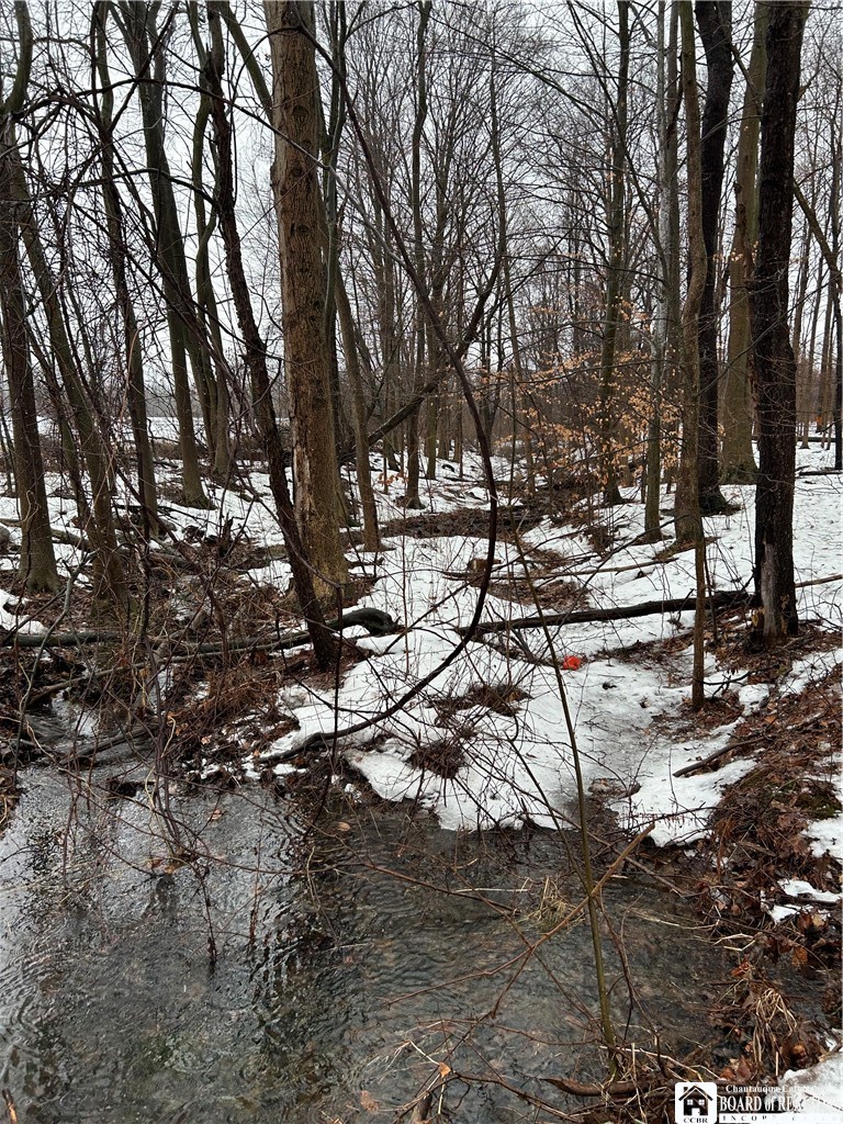 Alleghany Road East South Dayton, NY 14138 - Photo 9 of 10