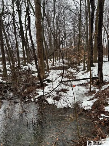 $199,900 | Alleghany Road East, South Dayton, NY 14138