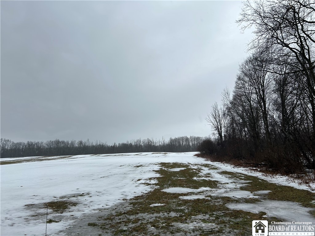 Alleghany Road East South Dayton, NY 14138 - Photo 10 of 10