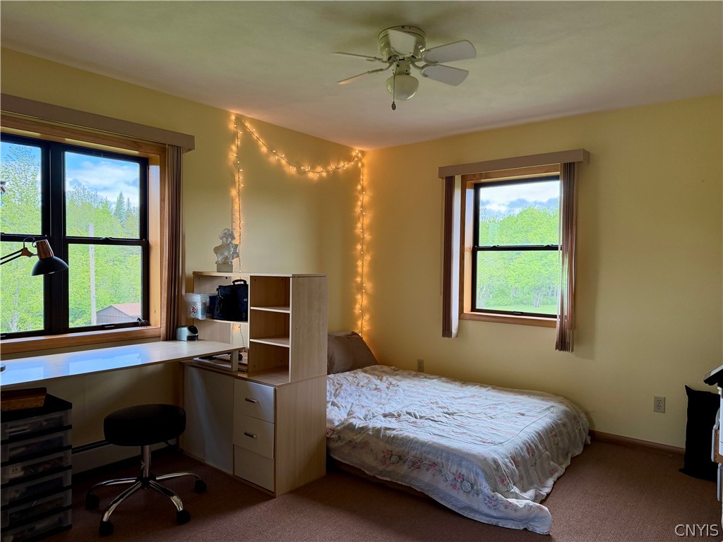 4377 Meyer Road West Turin, NY 13325 - Photo 24 of 50