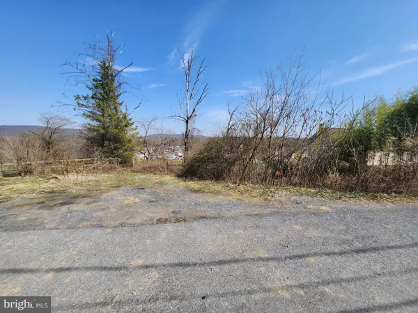 a view of a yard with a house