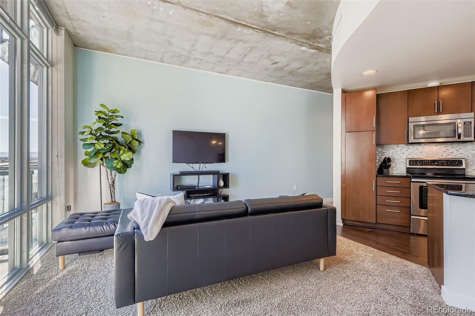 891 14th Street, Unit 1111L Denver, CO 80202 - Photo 8 of 39 a living room with furniture and a potted plant