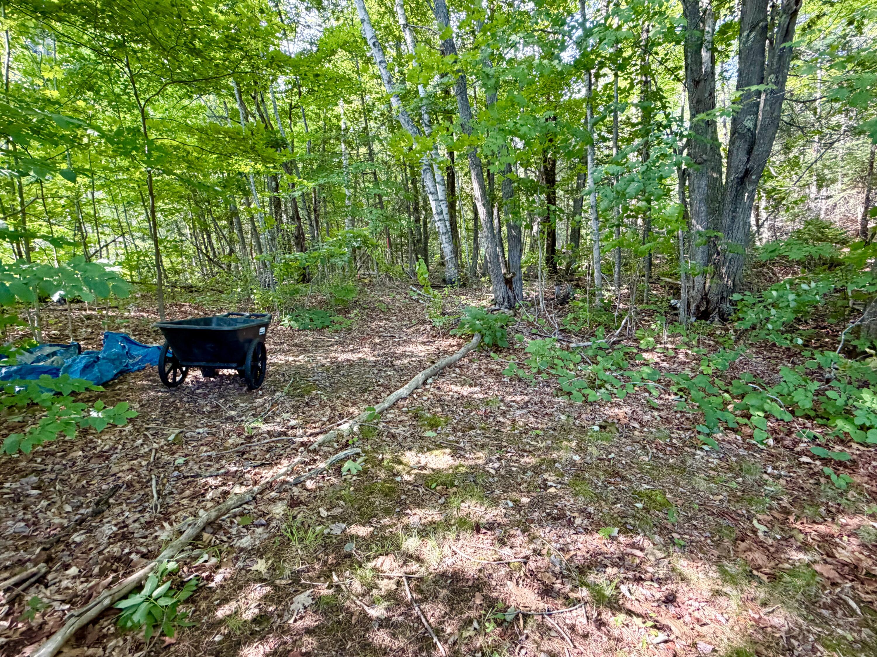 421 Fuller Road Hermon, ME 04401 - Photo 26 of 54 Wooded Backyard