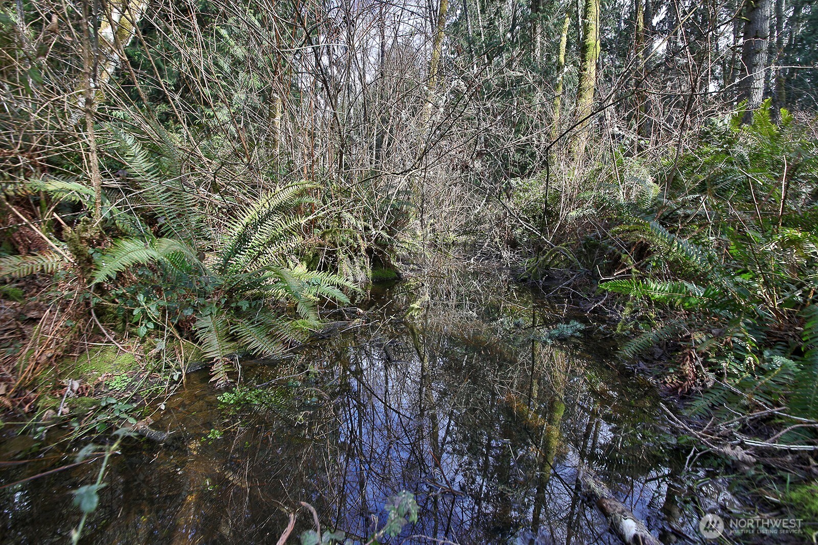 -xxx Xxx Scatchet Head Road Clinton, WA 98236 - Photo 11 of 34