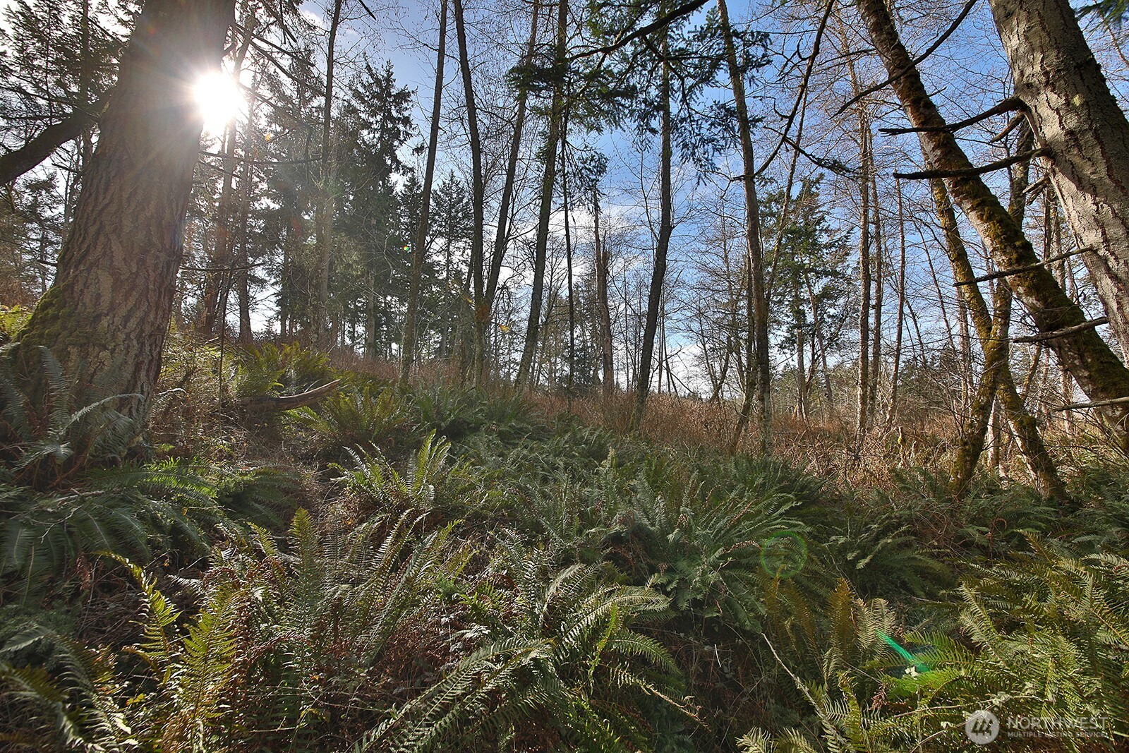 -xxx Xxx Scatchet Head Road Clinton, WA 98236 - Photo 13 of 34