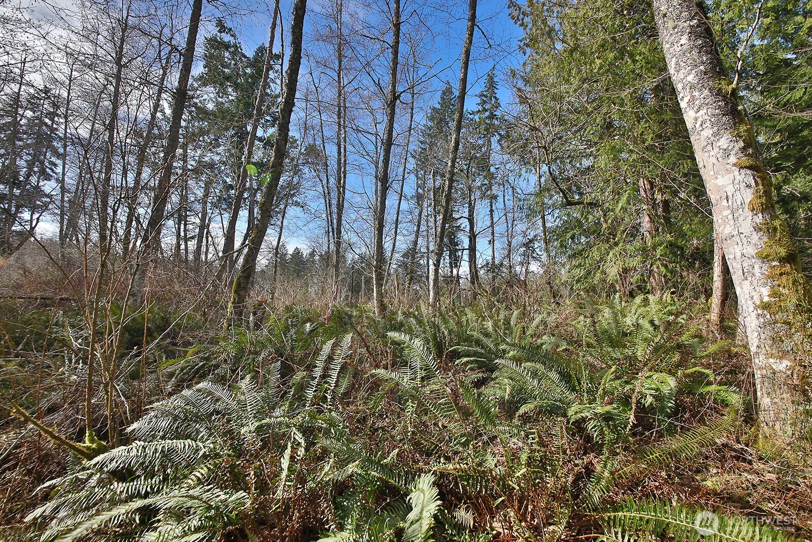 -xxx Xxx Scatchet Head Road Clinton, WA 98236 - Photo 14 of 34