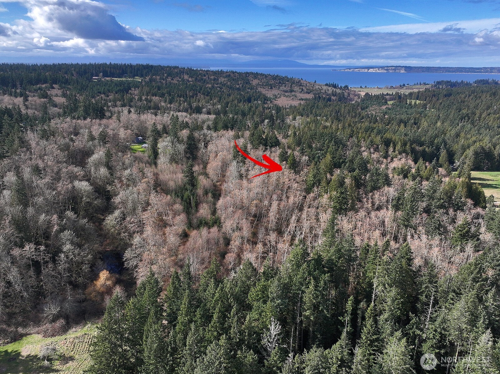 -xxx Xxx Scatchet Head Road Clinton, WA 98236 - Photo 29 of 34