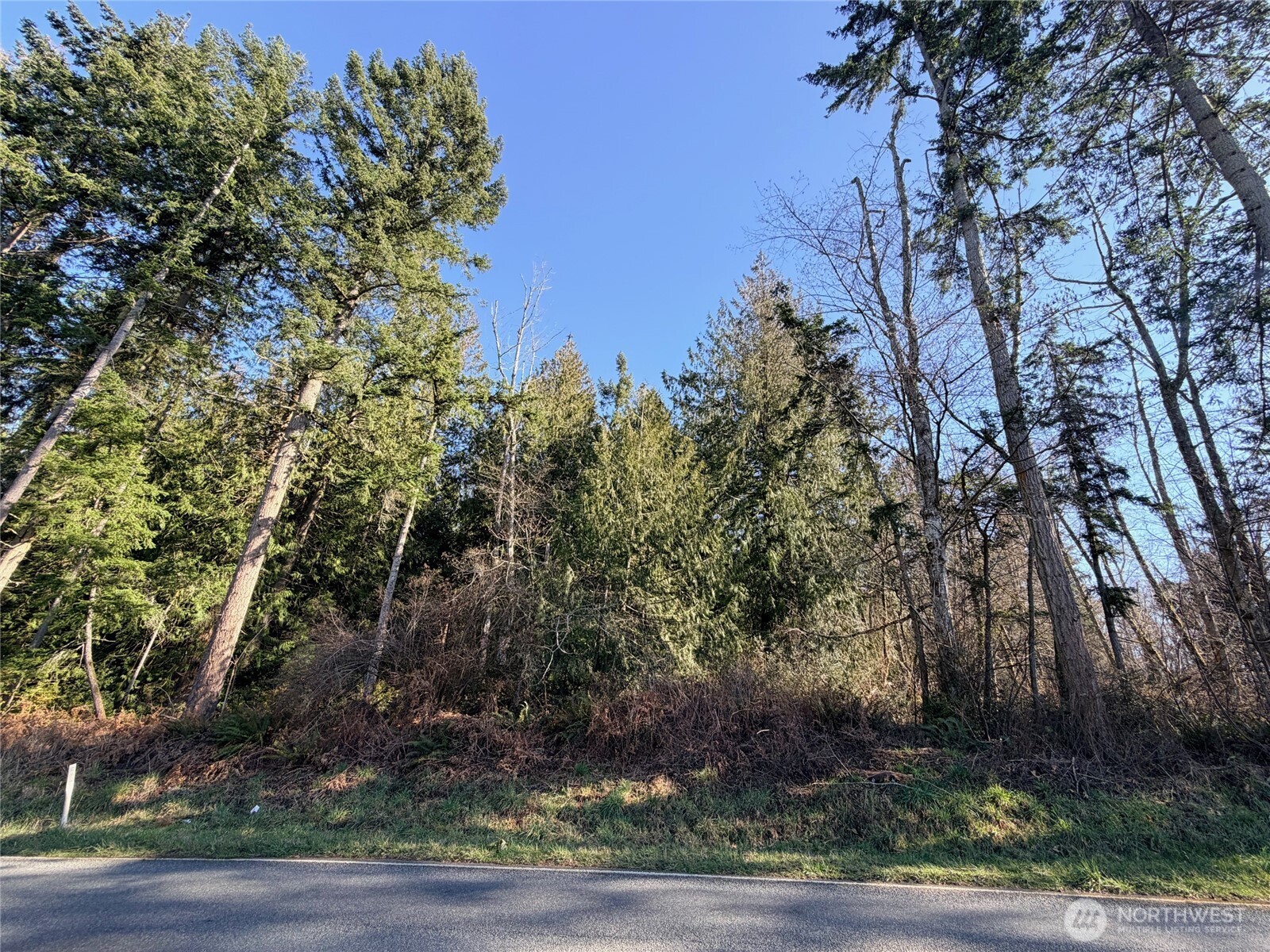 -xxx Xxx Scatchet Head Road Clinton, WA 98236 - Photo 3 of 34 a view of a yard