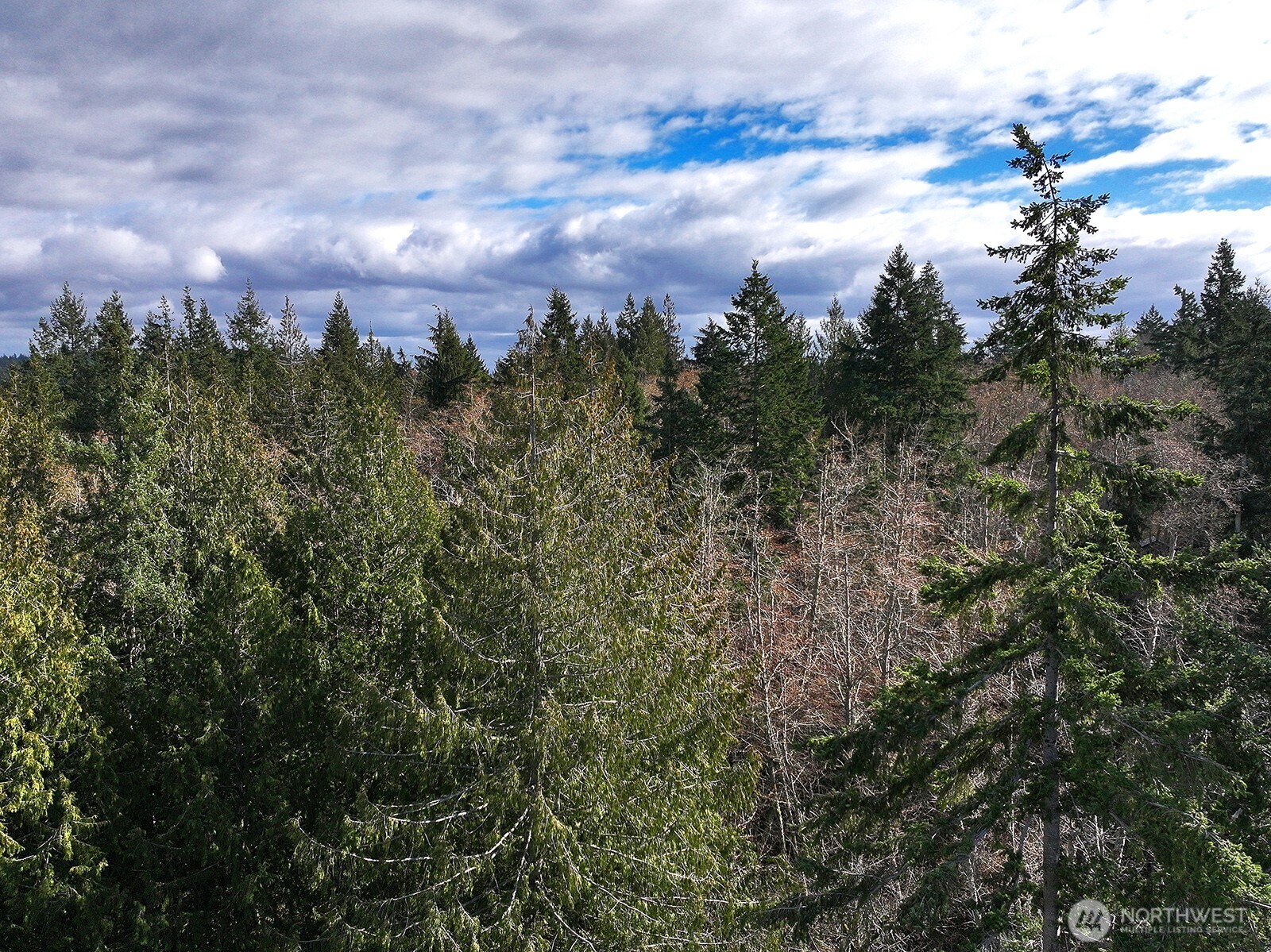 -xxx Xxx Scatchet Head Road Clinton, WA 98236 - Photo 34 of 34