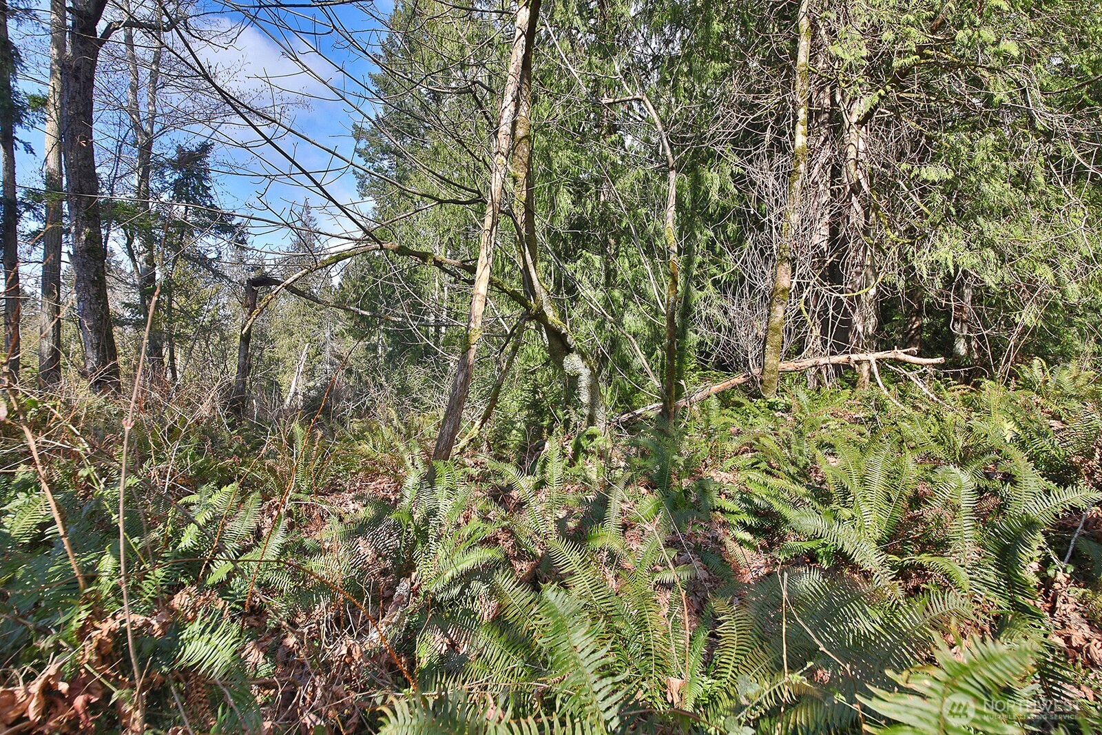 -xxx Xxx Scatchet Head Road Clinton, WA 98236 - Photo 7 of 34