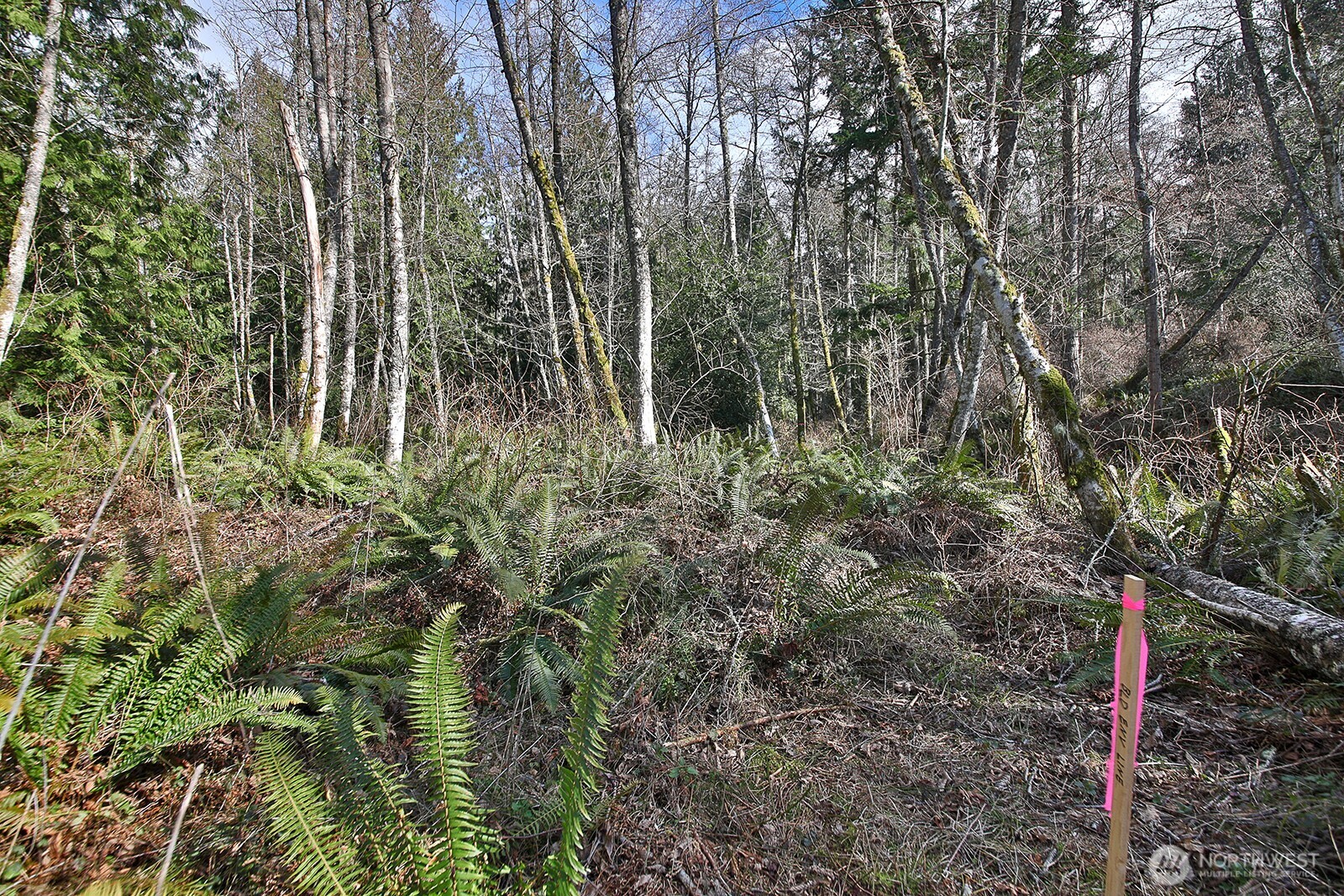 -xxx Xxx Scatchet Head Road Clinton, WA 98236 - Photo 8 of 34