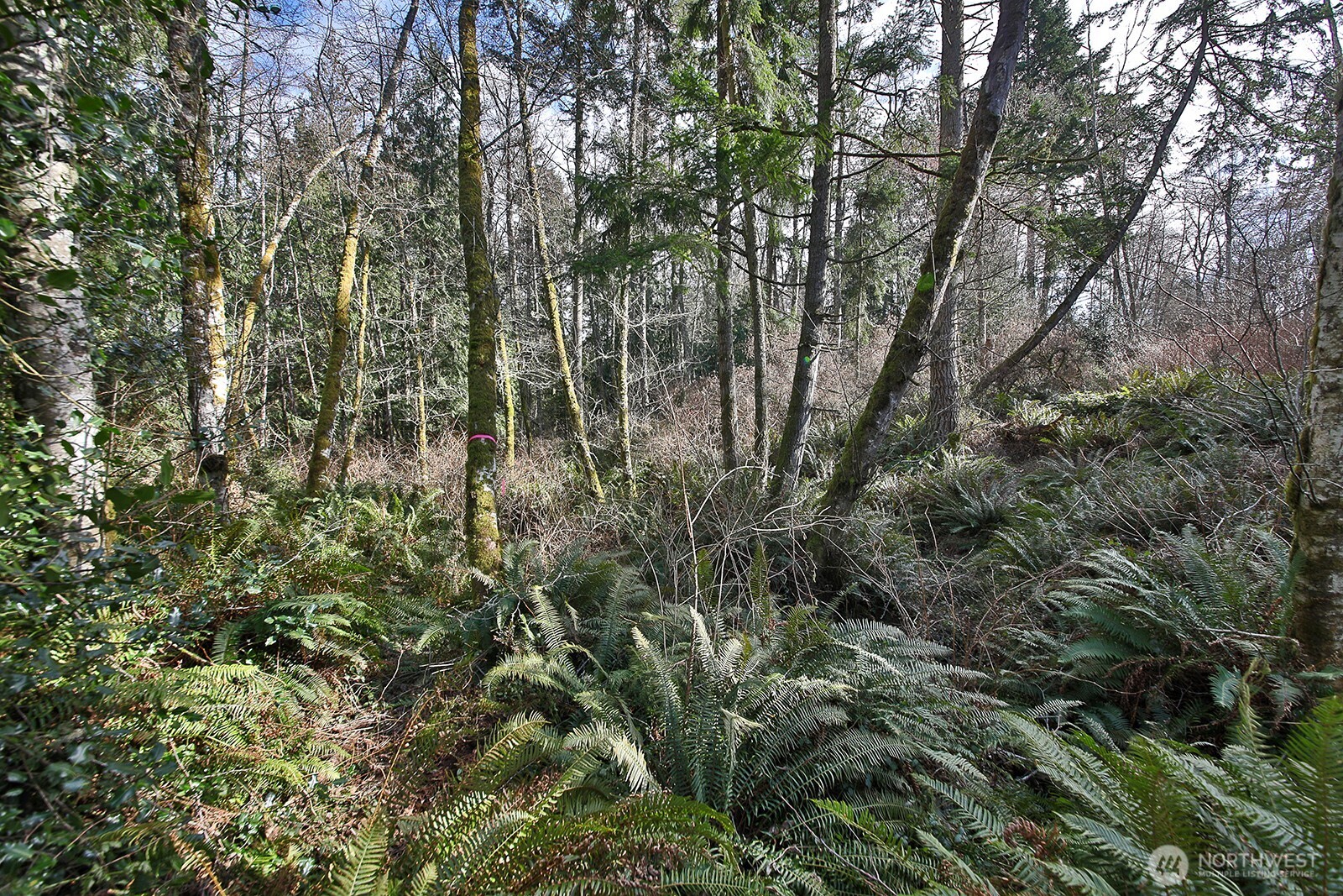 -xxx Xxx Scatchet Head Road Clinton, WA 98236 - Photo 9 of 34