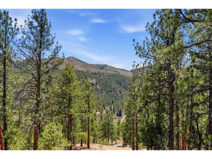 $899,000 | 16687 Ouray Road West, Pine, CO 80470