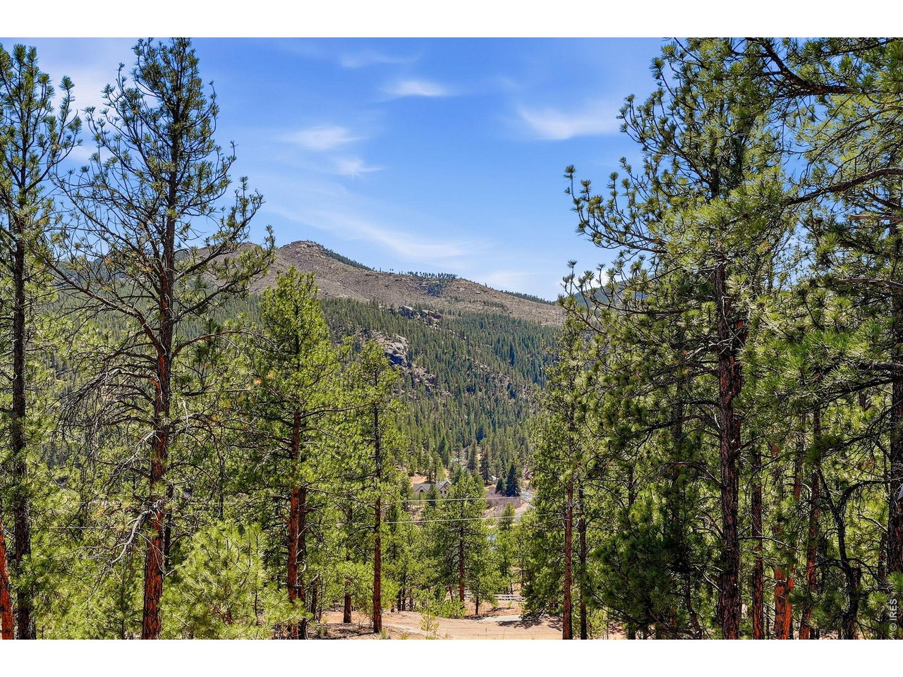 16687 Ouray Road West Pine, CO 80470 - Photo 6 of 47