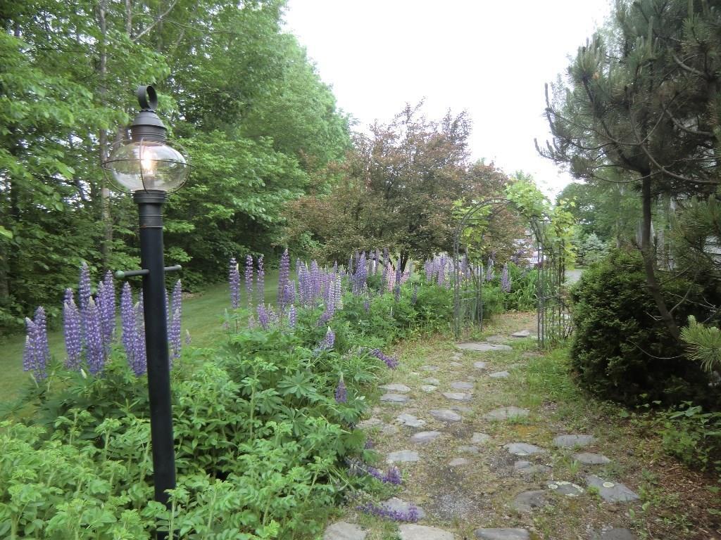 36 Garden Road Waterville, ME 04901 - Photo 19 of 24 Landscaping
