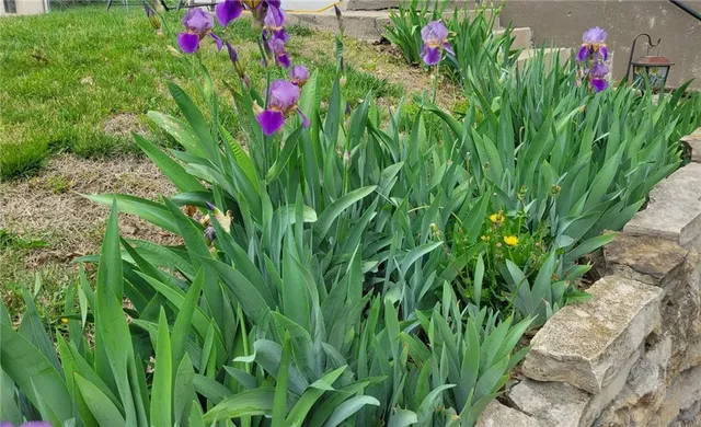 $329,900 | 308 Southwest Moore Place, Blue Springs, MO 64015