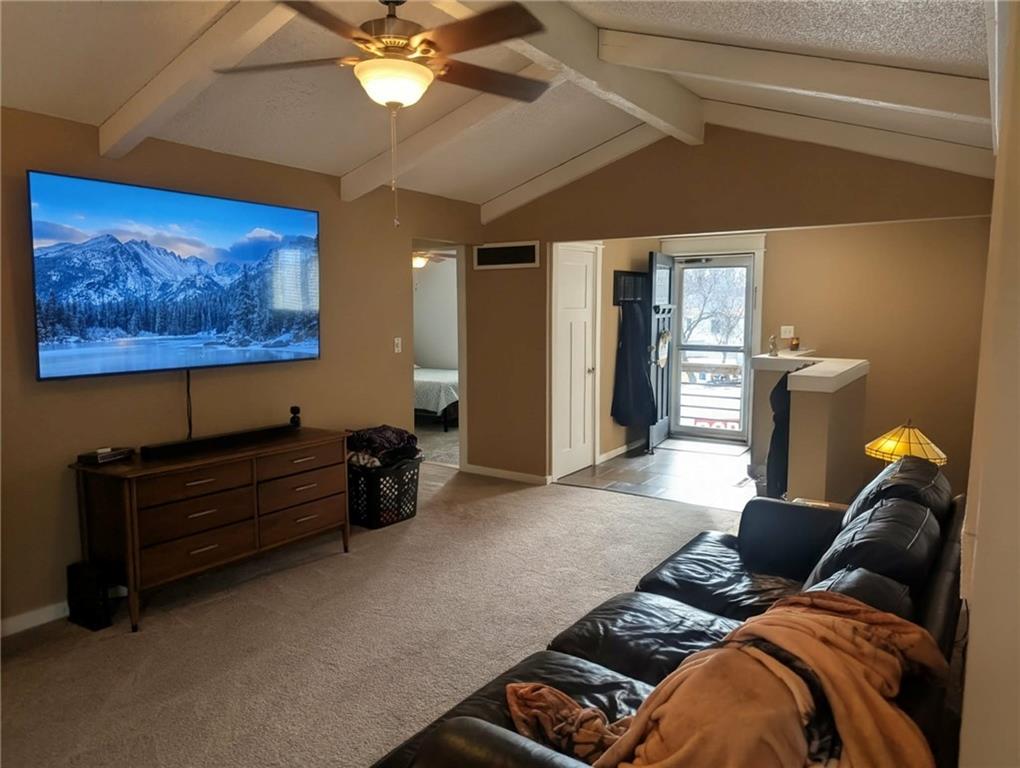 308 Southwest Moore Place Blue Springs, MO 64015 - Photo 8 of 54