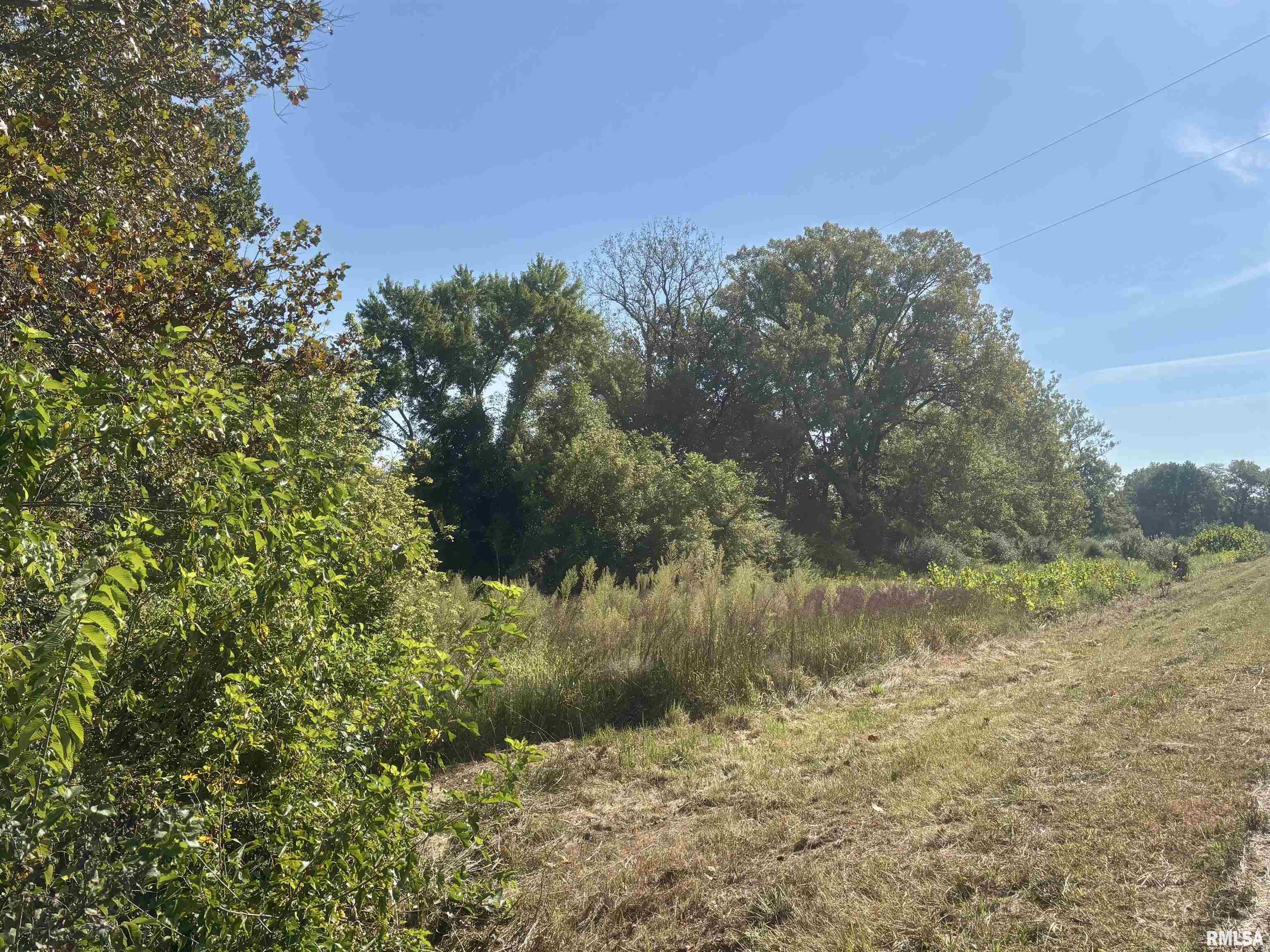 0 County Highway Lewistown, IL 61542 - Photo 6 of 9