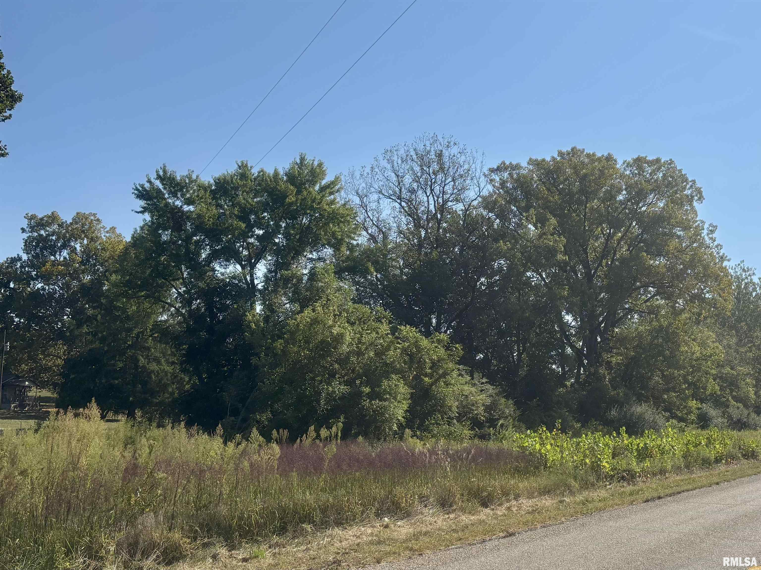 0 County Highway Lewistown, IL 61542 - Photo 7 of 9