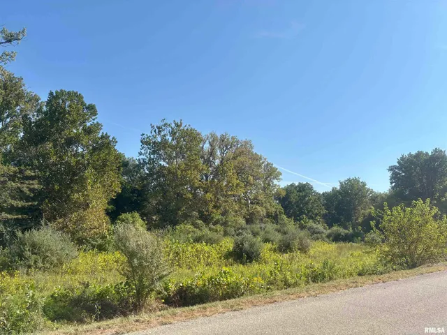 $88,750 | 0 County Highway, Lewistown, IL 61542