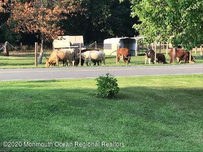 74 Merrick Road Farmingdale, NJ 07727 - Photo 33 of 36 cows