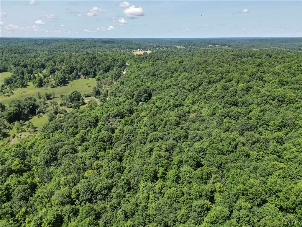 181 Bancroft Road Edwards, NY 13635 - Photo 40 of 42