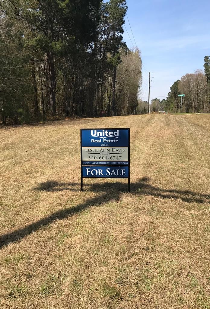 Lot 1 Holiness Church Road Wagener, SC 29164 - Photo 3 of 22