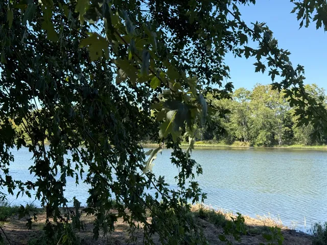 $289,000 | 21244 Highway 113, Custer Park, IL 60481