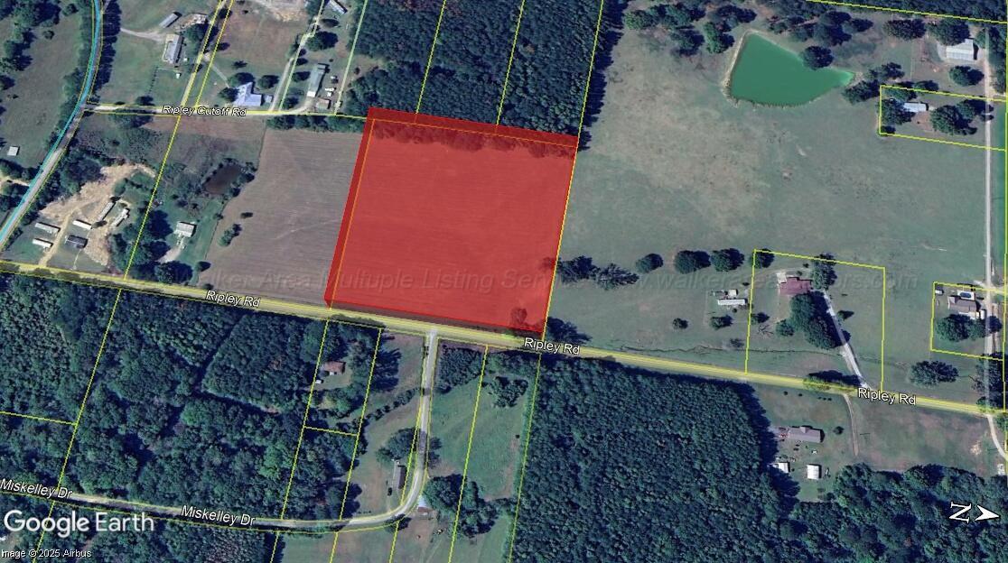 0 Ripley Road Carbon Hill, AL 35549 - Photo 2 of 2 Ripley rd