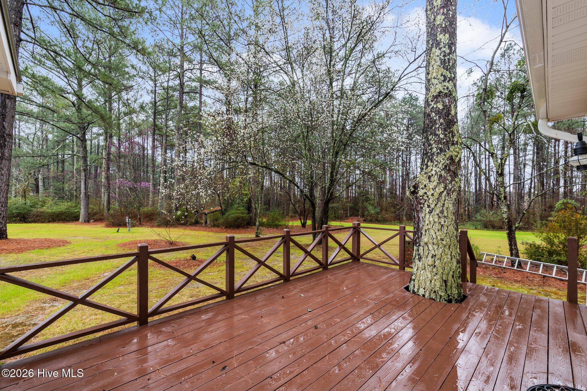 449 Brinkley Road Carthage, NC 28327 - Photo 7 of 33 Gallery Image 7