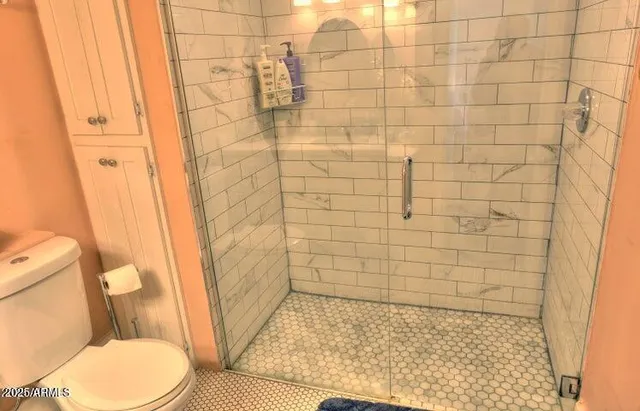 a bathroom with a toilet and a shower