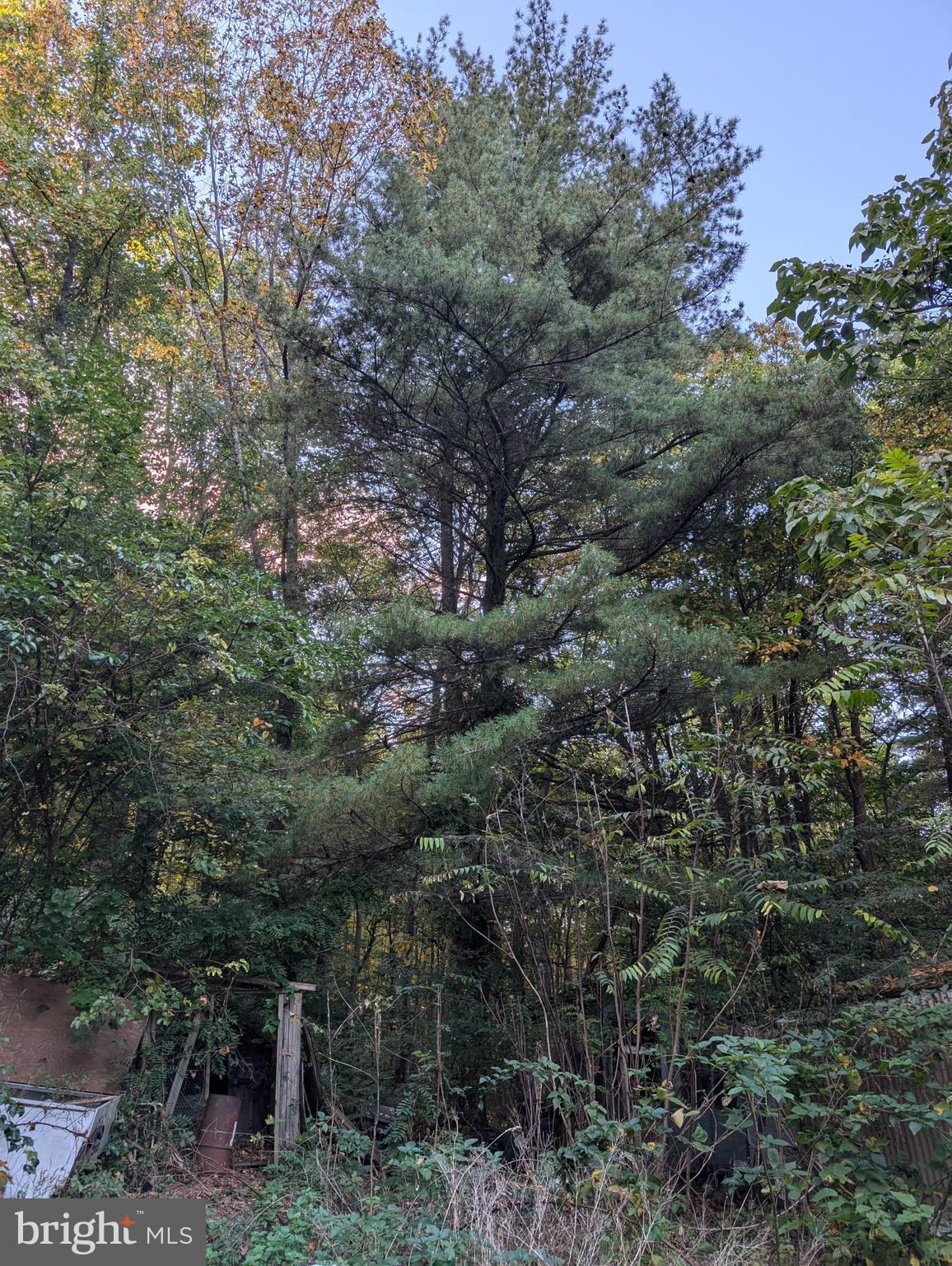 775 Poplar Springs Road Orrtanna, PA 17353 - Photo 6 of 12 Gallery Image 6