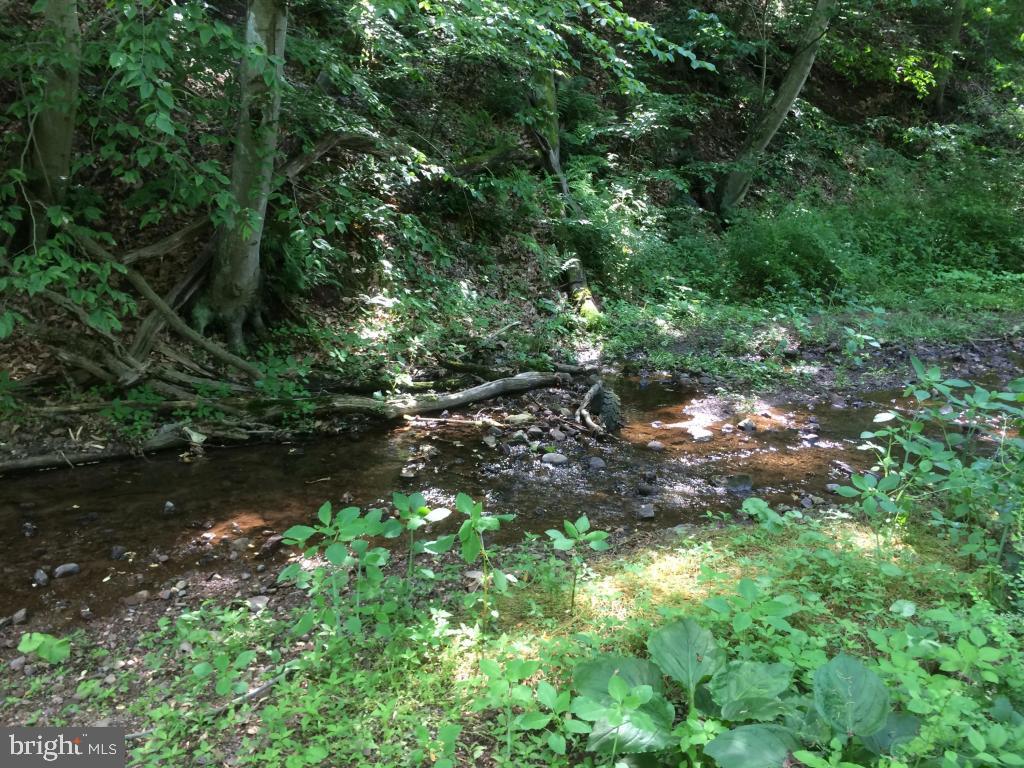 134 Bran Road Sinking Spring, PA 19608 - Photo 21 of 23