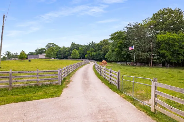 a view of a swimming pool with a garden and trees