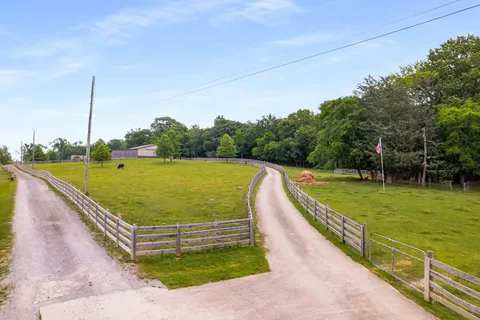 a view of a swimming pool with a garden and trees