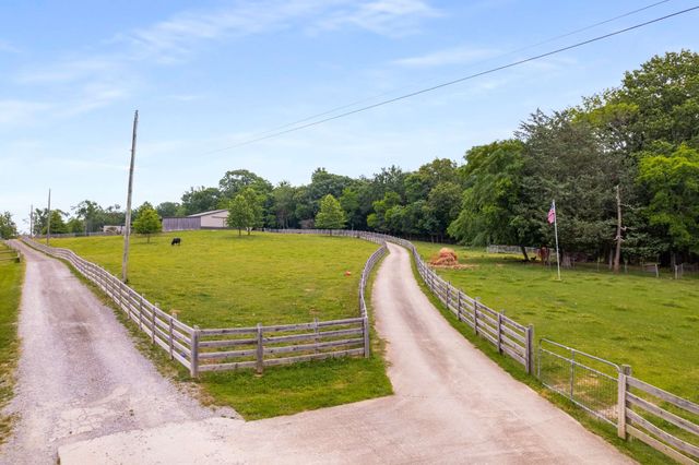 a view of a swimming pool with a garden and trees