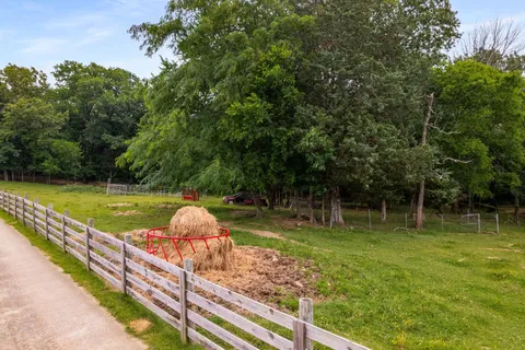 a view of a small yard with large trees and plants