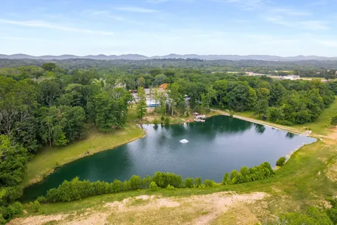 a view of a lake with a city