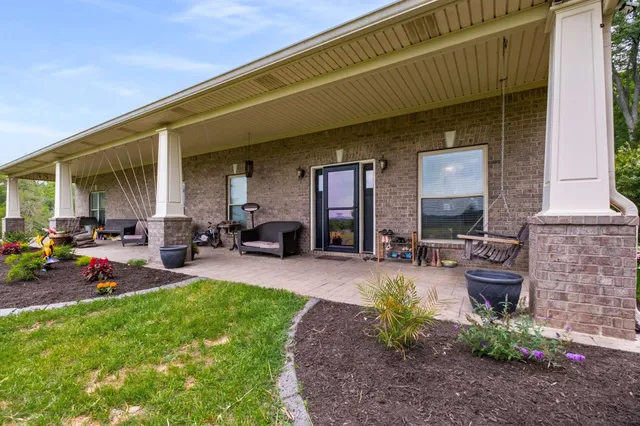 a view of a backyard with plants and a patio