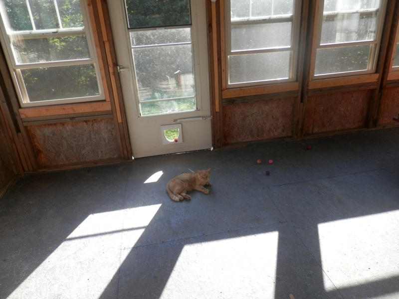 349 Smithfield Road, Unit 844R Tellico Plains, TN 37385 - Photo 13 of 20 P8290043