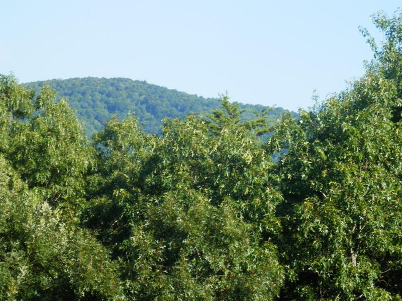 349 Smithfield Road, Unit 844R Tellico Plains, TN 37385 - Photo 15 of 20 P8290049