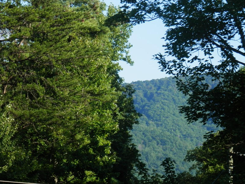 349 Smithfield Road, Unit 844R Tellico Plains, TN 37385 - Photo 16 of 20 P8290048
