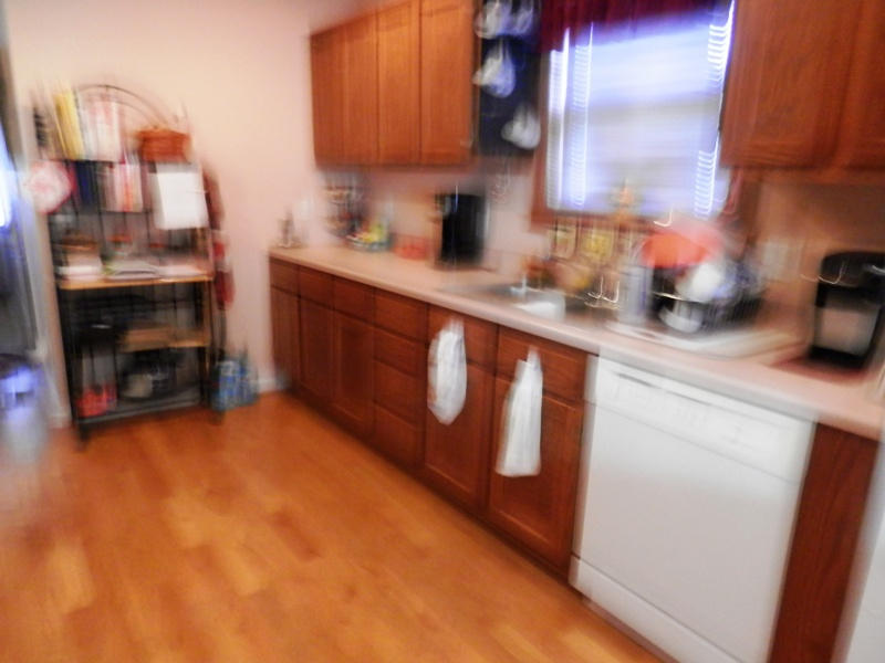 349 Smithfield Road, Unit 844R Tellico Plains, TN 37385 - Photo 8 of 20 P8290040