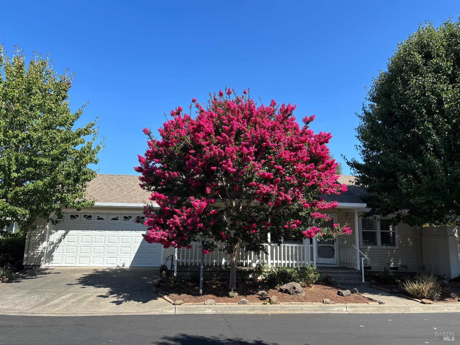 a front view of a house with a tree