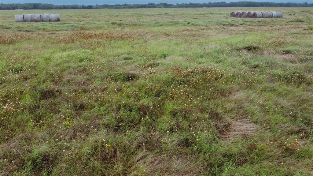 0 County Road 2105 Cooper, TX 75432 - Photo 4 of 7 a view of a field