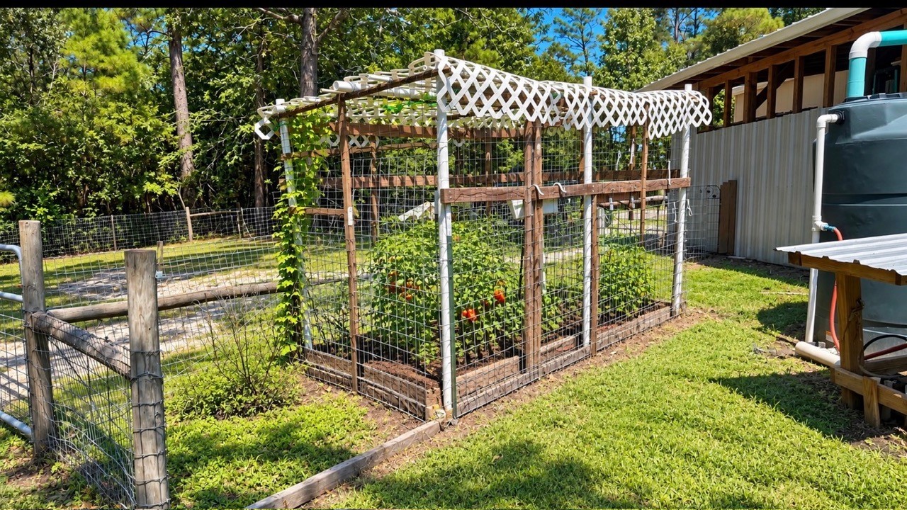 370 Stage Coach Road Coldspring, TX 77331 - Photo 19 of 25 Gallery Image 19